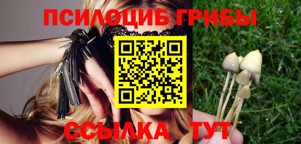 Псилоцибиновые грибы прущие грибы  Вход с VPN  Лангепас 